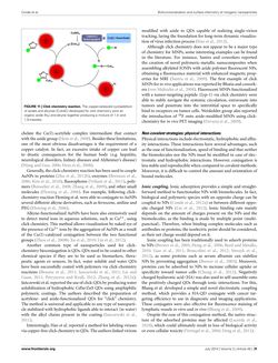 Bild der Seite - 24 - in Cancer Nanotheranostics - What Have We Learnd So Far?