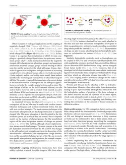 Bild der Seite - 25 - in Cancer Nanotheranostics - What Have We Learnd So Far?