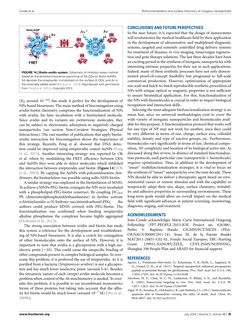 Bild der Seite - 26 - in Cancer Nanotheranostics - What Have We Learnd So Far?