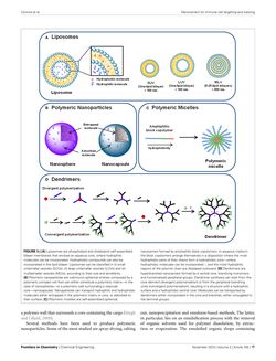 Bild der Seite - 77 - in Cancer Nanotheranostics - What Have We Learnd So Far?