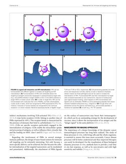 Image of the Page - 82 - in Cancer Nanotheranostics - What Have We Learnd So Far?
