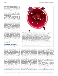 Bild der Seite - 119 - in Cancer Nanotheranostics - What Have We Learnd So Far?