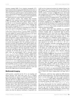 Bild der Seite - 123 - in Cancer Nanotheranostics - What Have We Learnd So Far?