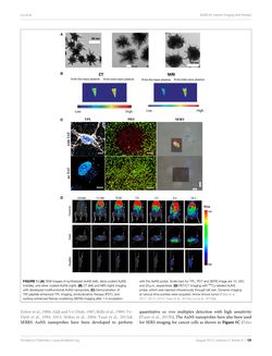 Bild der Seite - 124 - in Cancer Nanotheranostics - What Have We Learnd So Far?