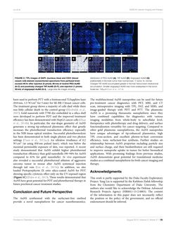 Bild der Seite - 126 - in Cancer Nanotheranostics - What Have We Learnd So Far?