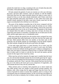 Image of the Page - 982 - in The Complete Aristotle