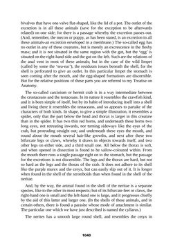 Bild der Seite - 1040 - in The Complete Aristotle