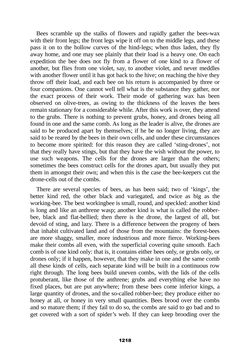 Bild der Seite - 1218 - in The Complete Aristotle