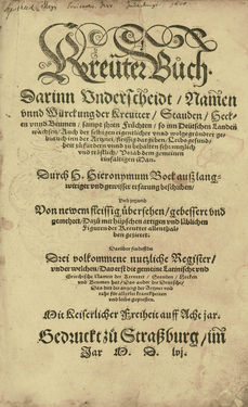 Image of the Page - (00000003) - in Kreütter Buch - Darinn Underscheidt, Namen vnnd Würckung der Kreutter, Stauden, Hecken vnnd Beumen, sampt jhren Früchten, so inn Deutschen Landen wachsen