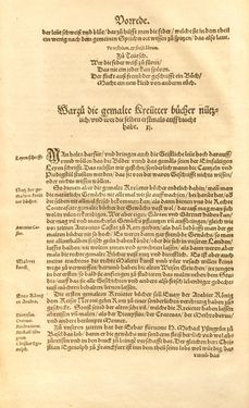 Image of the Page - Vorrede 13 - in Kreütter Buch - Darinn Underscheidt, Namen vnnd Würckung der Kreutter, Stauden, Hecken vnnd Beumen, sampt jhren Früchten, so inn Deutschen Landen wachsen