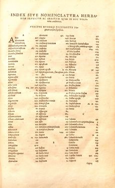 Image of the Page - Index 2 - in Kreütter Buch - Darinn Underscheidt, Namen vnnd Würckung der Kreutter, Stauden, Hecken vnnd Beumen, sampt jhren Früchten, so inn Deutschen Landen wachsen