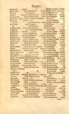 Image of the Page - Register 3 - in Kreütter Buch - Darinn Underscheidt, Namen vnnd Würckung der Kreutter, Stauden, Hecken vnnd Beumen, sampt jhren Früchten, so inn Deutschen Landen wachsen