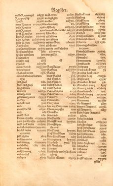 Image of the Page - Register 9 - in Kreütter Buch - Darinn Underscheidt, Namen vnnd Würckung der Kreutter, Stauden, Hecken vnnd Beumen, sampt jhren Früchten, so inn Deutschen Landen wachsen