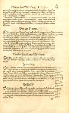 Image of the Page - 7 - in Kreütter Buch - Darinn Underscheidt, Namen vnnd Würckung der Kreutter, Stauden, Hecken vnnd Beumen, sampt jhren Früchten, so inn Deutschen Landen wachsen