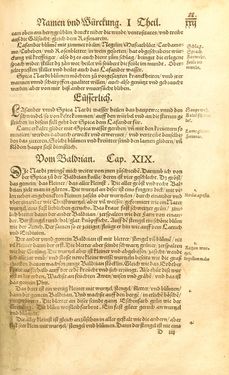 Image of the Page - 22 - in Kreütter Buch - Darinn Underscheidt, Namen vnnd Würckung der Kreutter, Stauden, Hecken vnnd Beumen, sampt jhren Früchten, so inn Deutschen Landen wachsen