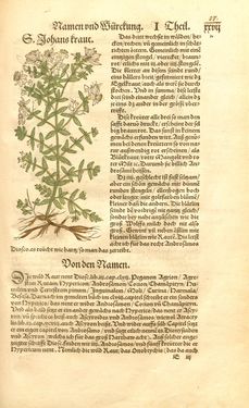 Image of the Page - 27 - in Kreütter Buch - Darinn Underscheidt, Namen vnnd Würckung der Kreutter, Stauden, Hecken vnnd Beumen, sampt jhren Früchten, so inn Deutschen Landen wachsen