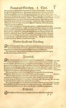 Image of the Page - 50 - in Kreütter Buch - Darinn Underscheidt, Namen vnnd Würckung der Kreutter, Stauden, Hecken vnnd Beumen, sampt jhren Früchten, so inn Deutschen Landen wachsen