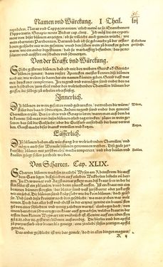 Image of the Page - 56 - in Kreütter Buch - Darinn Underscheidt, Namen vnnd Würckung der Kreutter, Stauden, Hecken vnnd Beumen, sampt jhren Früchten, so inn Deutschen Landen wachsen