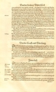 Image of the Page - (00000163) - in Kreütter Buch - Darinn Underscheidt, Namen vnnd Würckung der Kreutter, Stauden, Hecken vnnd Beumen, sampt jhren Früchten, so inn Deutschen Landen wachsen