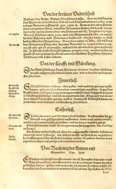Image of the Page - (00000189) - in Kreütter Buch - Darinn Underscheidt, Namen vnnd Würckung der Kreutter, Stauden, Hecken vnnd Beumen, sampt jhren Früchten, so inn Deutschen Landen wachsen