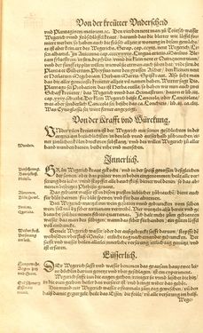 Image of the Page - (00000209) - in Kreütter Buch - Darinn Underscheidt, Namen vnnd Würckung der Kreutter, Stauden, Hecken vnnd Beumen, sampt jhren Früchten, so inn Deutschen Landen wachsen