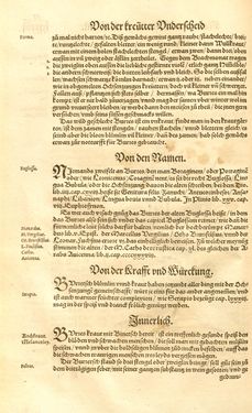 Bild der Seite - (00000217) - in Kreütter Buch - Darinn Underscheidt, Namen vnnd Würckung der Kreutter, Stauden, Hecken vnnd Beumen, sampt jhren Früchten, so inn Deutschen Landen wachsen