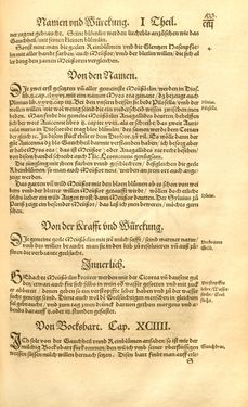 Image of the Page - 103 - in Kreütter Buch - Darinn Underscheidt, Namen vnnd Würckung der Kreutter, Stauden, Hecken vnnd Beumen, sampt jhren Früchten, so inn Deutschen Landen wachsen