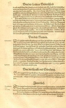 Image of the Page - (00000249) - in Kreütter Buch - Darinn Underscheidt, Namen vnnd Würckung der Kreutter, Stauden, Hecken vnnd Beumen, sampt jhren Früchten, so inn Deutschen Landen wachsen