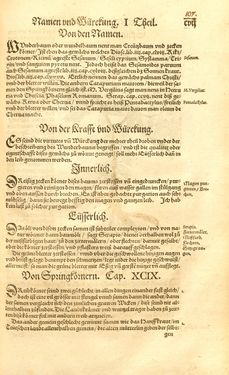 Image of the Page - 107 - in Kreütter Buch - Darinn Underscheidt, Namen vnnd Würckung der Kreutter, Stauden, Hecken vnnd Beumen, sampt jhren Früchten, so inn Deutschen Landen wachsen