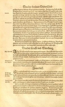 Image of the Page - (00000261) - in Kreütter Buch - Darinn Underscheidt, Namen vnnd Würckung der Kreutter, Stauden, Hecken vnnd Beumen, sampt jhren Früchten, so inn Deutschen Landen wachsen