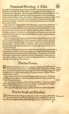 Bild der Seite - 121 - in Kreütter Buch - Darinn Underscheidt, Namen vnnd Würckung der Kreutter, Stauden, Hecken vnnd Beumen, sampt jhren Früchten, so inn Deutschen Landen wachsen