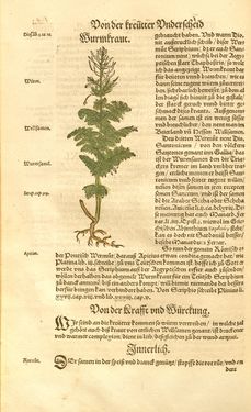 Image of the Page - (00000289) - in Kreütter Buch - Darinn Underscheidt, Namen vnnd Würckung der Kreutter, Stauden, Hecken vnnd Beumen, sampt jhren Früchten, so inn Deutschen Landen wachsen