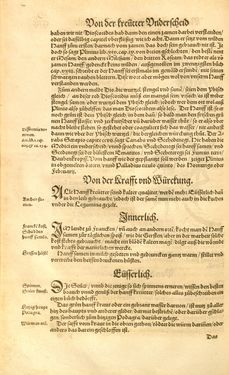 Image of the Page - (00000299) - in Kreütter Buch - Darinn Underscheidt, Namen vnnd Würckung der Kreutter, Stauden, Hecken vnnd Beumen, sampt jhren Früchten, so inn Deutschen Landen wachsen