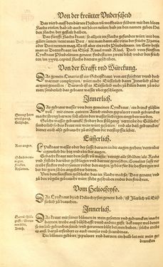 Image of the Page - (00000305) - in Kreütter Buch - Darinn Underscheidt, Namen vnnd Würckung der Kreutter, Stauden, Hecken vnnd Beumen, sampt jhren Früchten, so inn Deutschen Landen wachsen