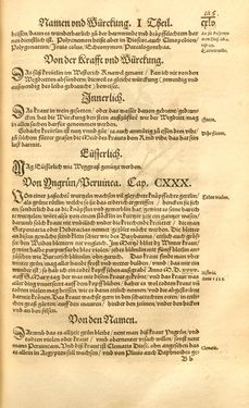 Image of the Page - 145 - in Kreütter Buch - Darinn Underscheidt, Namen vnnd Würckung der Kreutter, Stauden, Hecken vnnd Beumen, sampt jhren Früchten, so inn Deutschen Landen wachsen
