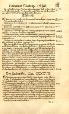 Image of the Page - 152 - in Kreütter Buch - Darinn Underscheidt, Namen vnnd Würckung der Kreutter, Stauden, Hecken vnnd Beumen, sampt jhren Früchten, so inn Deutschen Landen wachsen