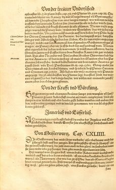 Image of the Page - (00000352) - in Kreütter Buch - Darinn Underscheidt, Namen vnnd Würckung der Kreutter, Stauden, Hecken vnnd Beumen, sampt jhren Früchten, so inn Deutschen Landen wachsen