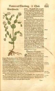 Image of the Page - 179 - in Kreütter Buch - Darinn Underscheidt, Namen vnnd Würckung der Kreutter, Stauden, Hecken vnnd Beumen, sampt jhren Früchten, so inn Deutschen Landen wachsen