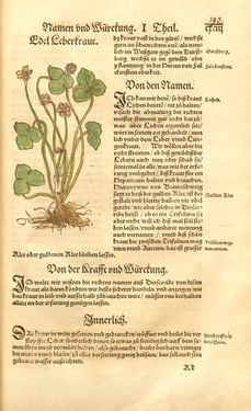 Image of the Page - 193 - in Kreütter Buch - Darinn Underscheidt, Namen vnnd Würckung der Kreutter, Stauden, Hecken vnnd Beumen, sampt jhren Früchten, so inn Deutschen Landen wachsen