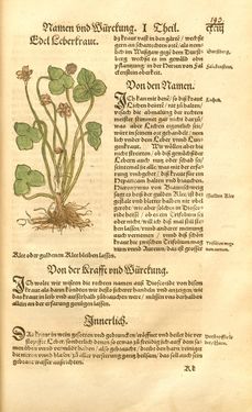 Bild der Seite - 193 - in Kreütter Buch - Darinn Underscheidt, Namen vnnd Würckung der Kreutter, Stauden, Hecken vnnd Beumen, sampt jhren Früchten, so inn Deutschen Landen wachsen