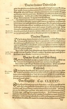 Image of the Page - (00000424) - in Kreütter Buch - Darinn Underscheidt, Namen vnnd Würckung der Kreutter, Stauden, Hecken vnnd Beumen, sampt jhren Früchten, so inn Deutschen Landen wachsen