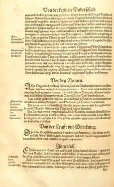 Image of the Page - (00000448) - in Kreütter Buch - Darinn Underscheidt, Namen vnnd Würckung der Kreutter, Stauden, Hecken vnnd Beumen, sampt jhren Früchten, so inn Deutschen Landen wachsen