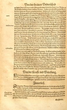 Image of the Page - (00000478) - in Kreütter Buch - Darinn Underscheidt, Namen vnnd Würckung der Kreutter, Stauden, Hecken vnnd Beumen, sampt jhren Früchten, so inn Deutschen Landen wachsen