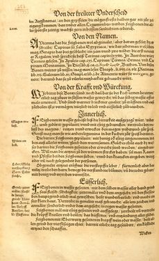 Image of the Page - (00000480) - in Kreütter Buch - Darinn Underscheidt, Namen vnnd Würckung der Kreutter, Stauden, Hecken vnnd Beumen, sampt jhren Früchten, so inn Deutschen Landen wachsen