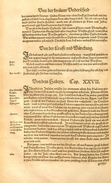 Image of the Page - (00000497) - in Kreütter Buch - Darinn Underscheidt, Namen vnnd Würckung der Kreutter, Stauden, Hecken vnnd Beumen, sampt jhren Früchten, so inn Deutschen Landen wachsen