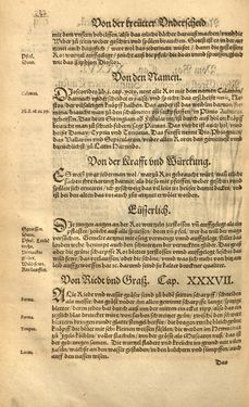 Bild der Seite - (00000515) - in Kreütter Buch - Darinn Underscheidt, Namen vnnd Würckung der Kreutter, Stauden, Hecken vnnd Beumen, sampt jhren Früchten, so inn Deutschen Landen wachsen