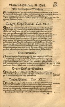 Image of the Page - 256 - in Kreütter Buch - Darinn Underscheidt, Namen vnnd Würckung der Kreutter, Stauden, Hecken vnnd Beumen, sampt jhren Früchten, so inn Deutschen Landen wachsen