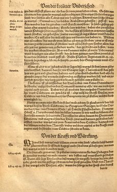 Image of the Page - (00000571) - in Kreütter Buch - Darinn Underscheidt, Namen vnnd Würckung der Kreutter, Stauden, Hecken vnnd Beumen, sampt jhren Früchten, so inn Deutschen Landen wachsen