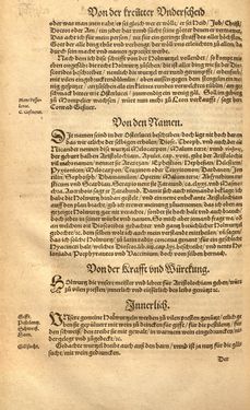 Bild der Seite - (00000576) - in Kreütter Buch - Darinn Underscheidt, Namen vnnd Würckung der Kreutter, Stauden, Hecken vnnd Beumen, sampt jhren Früchten, so inn Deutschen Landen wachsen