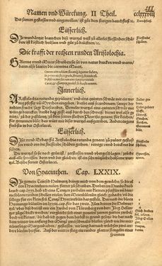 Bild der Seite - 288 - in Kreütter Buch - Darinn Underscheidt, Namen vnnd Würckung der Kreutter, Stauden, Hecken vnnd Beumen, sampt jhren Früchten, so inn Deutschen Landen wachsen